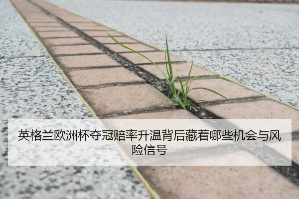 英格兰欧洲杯夺冠赔率升温背后藏着哪些机会与风险信号